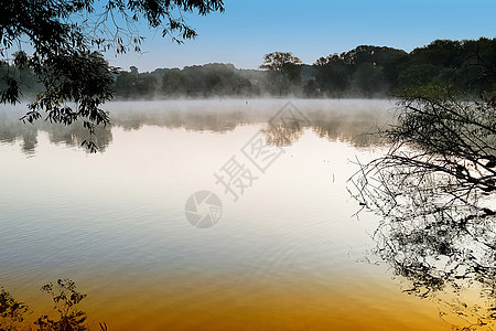 湖边的晨雾全景旅游池塘日落荒野松树阳光顶峰天空高山图片