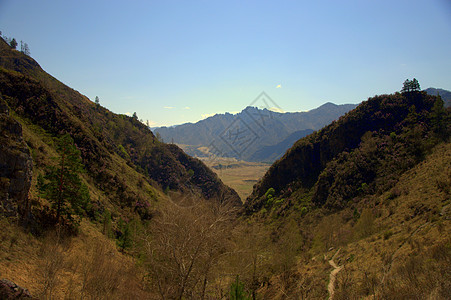 在山谷里穿过峡谷 长满了苔和灌木地标日落植物岩石针叶林远足顶峰农村植物群全景图片