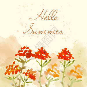 夏天你好 带花的水彩横幅气氛卡片海报图片