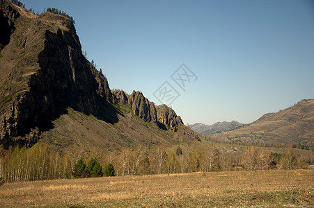 Altai山脉高山的景色 覆盖着隐形森林风景丘陵旅行全景场景林地针叶环境晴天阳光图片