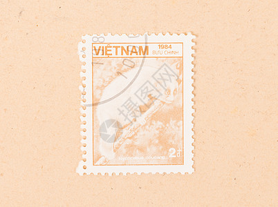 1984年 越南印刷的印章显示一只猴子爱好邮票古董收集空气邮资收藏信封历史性打印背景图片