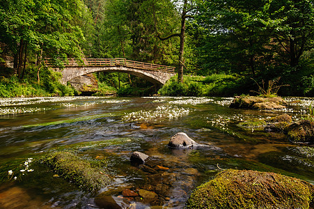 河对面旧桥旅游环境公园历史性反射石头桥梁森林绿色树木图片