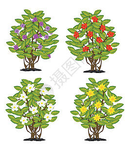 鲜花灌木的矢量插图图片