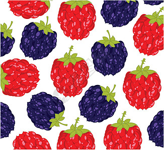 白背景上的莓莓莓和黑莓模式是绝缘的图片