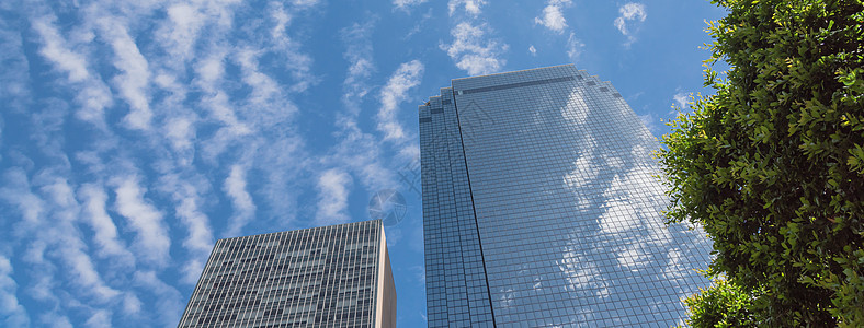 摩天大楼的低角度全景 阳光明媚的云层下有树木景观地标天空天际建筑蓝色晴天公园反射技术图片