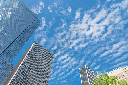 天空大厦的低角度视图 其树木在明晴的云天下时间技术玻璃摩天大楼城市地标蓝色建筑学景观反射图片