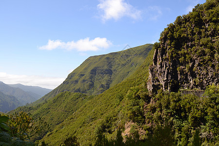 马德拉岛的山景图树木山脉野生动物爬坡地平线旅行岩石海浪环境天空图片