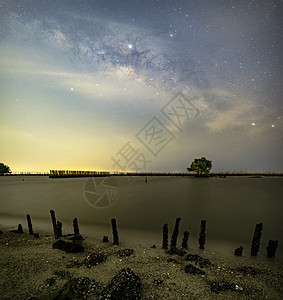 在一棵树上方的银河 和竹林草原之上的银河蓝色星星星系风景海岸星云摄影宇宙夜空海洋图片