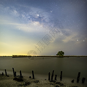 在一棵树上方的银河 和竹林草原之上的银河天空海景星云太阳风景海洋天文学银河系天文夜空图片