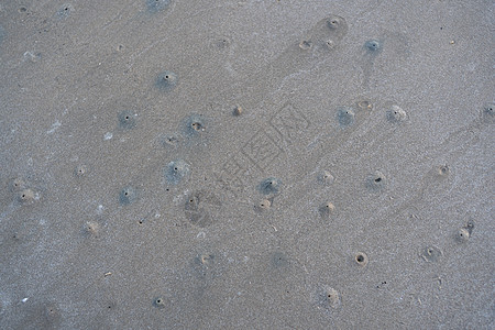 角眼幽灵蟹或 O 栖息地的漂浮槽灰色岩石白色海滩大理石石膏材料水泥图片