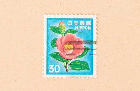 1980年 日本印刷的一张邮票展示着一朵鲜花图片