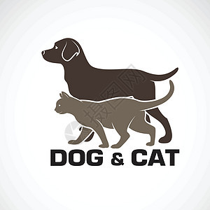 白色背景下狗和猫设计的矢量 动物 佩犬类绘画标识朋友们诊所卡通片哺乳动物兽医宠物网络图片
