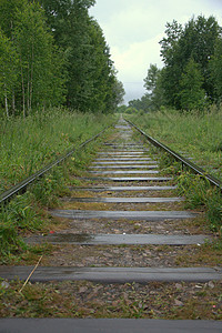 古老的铁路穿过一片森林 草丛繁茂 地貌景观图片