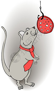 鼠 在白色背景上以平面样式绘制的孤立矢量荒野绘画插图公猪宠物卡通片艺术老鼠夹子动物图片