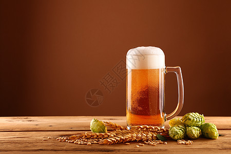 特写啤酒杯 酒杯和大麦木头泡沫状黄色琥珀色桌子白色草稿茶点小麦酒花背景图片