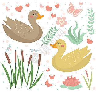 可爱的鸭子设置对象 收集设计元素与芦苇水百合花植物 孩子们婴儿剪贴画有趣的微笑动物 矢量图图片