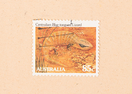 1980年澳大利亚CIRCA 澳大利亚印刷的邮票显示邮资爱好历史性古董蜥蜴舌头中央空气收藏动物背景图片