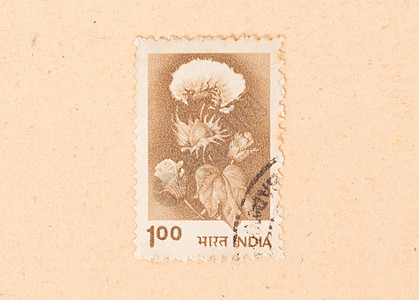 1970年 印度印刷的印章显示一朵鲜花背景图片