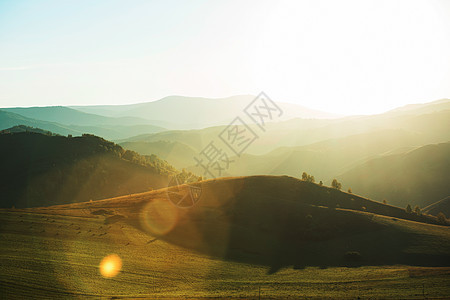 山上的美丽黎明草地野生动物日落松树旅游山脉日出植物群薄雾旅行图片