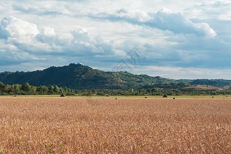 日落时小麦田植物天空耳朵收成土地稻草地平线农村太阳食物图片