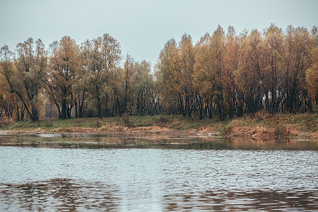 在森林秋季湖的风景中 以回溯风格反映植物树木蓝色叶子季节橙子公园阳光池塘环境图片