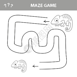 变色龙Maze游戏-帮助变色龙找到走出迷宫的路图片