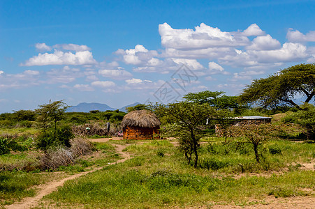 肯尼亚非洲传统小屋图片