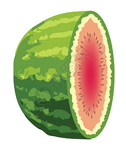 将环切成半食物种子绘画艺术品水果绿色插图艺术图片