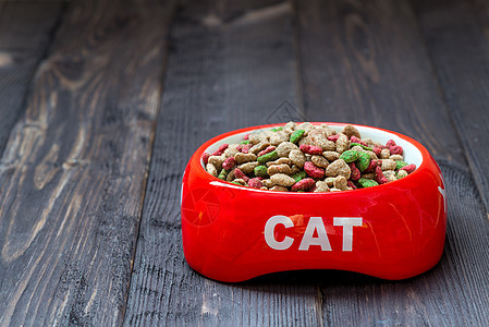 在木地板上 一个红碗 一只有干食的猫图片