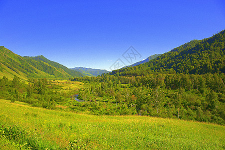 山脉脚边的富丽绿谷 阿尔泰 西伯利亚 俄罗斯 风景图片