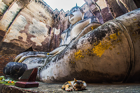 泰国Sukhothai历史公园 在Wat Si Chum寺的古老佛像旅行者宝塔雕像旅行石头考古学旅游公园游客艺术宗教图片