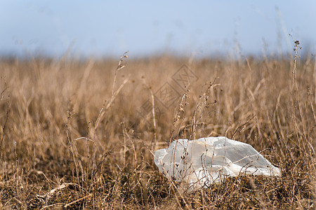 封闭干燥的田野草 在模糊背景上加塑料垃圾农村土地植物农业草地稻草黄色小麦金子农场图片