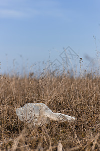 封闭干燥的田野草 在模糊背景上加塑料垃圾乡村金子植物天空国家风景农业草地黄色稻草图片