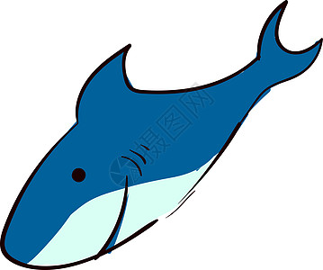 蓝鲨鱼快乐 插图 白背景的矢量图片