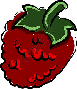 白色背景上的红树莓插画矢量图片