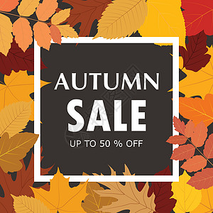 秋季销售横幅模板与多彩的秋叶背景图片