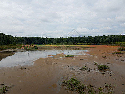 湿地或沼泽 有红藻和水树木池塘藻类天空图片