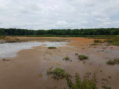 湿地或沼泽 有红藻和水天空池塘树木藻类图片