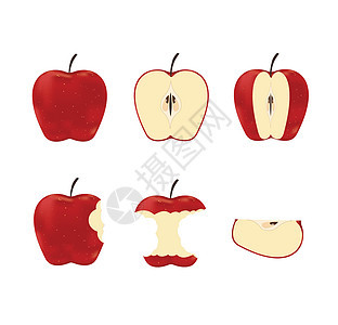 白色背景上孤立的红色成熟苹果的矢量图解图片