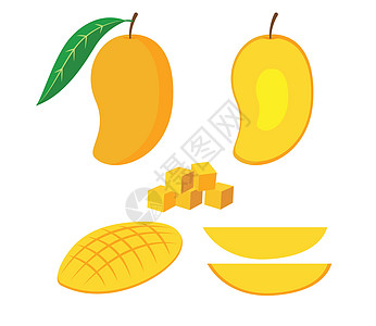 切开的芒果白色背景上隔离的一套新鲜芒果矢量插图设计图片