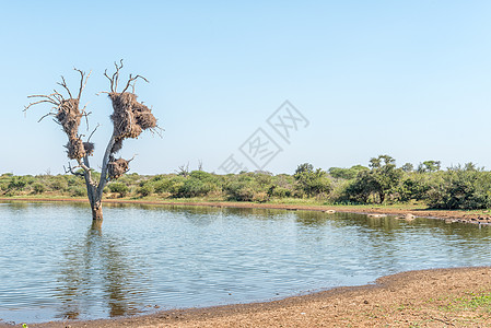 Mpumalanga的日落大坝视图图片