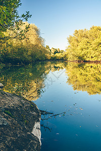对水面进行反射的秋季森林日落池塘石头钓鱼支撑树叶植物群公园岩石林地图片