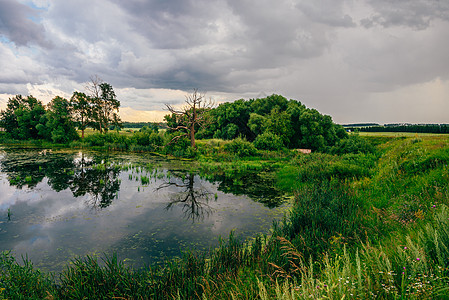 水上反射的池塘岸上的死树沼泽生态季节荒野农村娱乐环境戏剧性天空森林图片