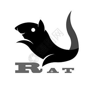 鼠 图标或网络标志的简单形状卡通片哺乳动物创造力十二生肖黑色尾巴老鼠动物害虫艺术图片