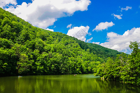 绿色森林景观 山林 山中的森林湖 湖景山林反射风景场景天空荒野池塘蓝色国家季节公园图片