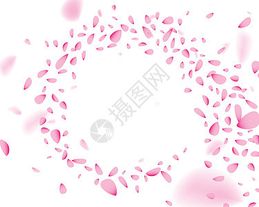 风中挥舞着粉红色花瓣玫瑰海浪飞行墙纸风格温泉周年漩涡纪念日涡流图片