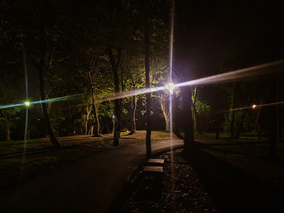晚上公园里模糊的灯光环境背景阳光叶子圆圈派对季节花园城市团体背景图片