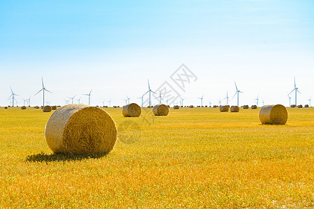 蓝天下亮黄地上的草泥盘 风力发电机背景的涡轮天空农业阳光车站场地库存技术力量农场地球图片