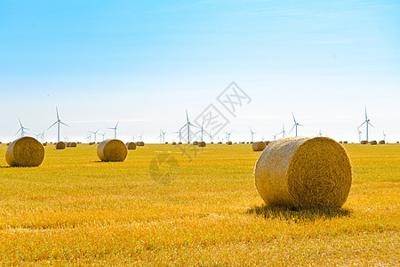 蓝天下亮黄地上的草泥盘 风力发电机背景的涡轮圆圈太阳谷物技术地球稻草草垛杂草收成力量图片