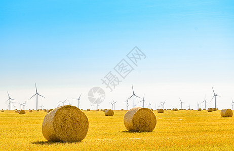 蓝天下亮黄地上的草泥盘 风力发电机背景的涡轮季节环境收成农村天空稻草场地库存蓝色草地图片
